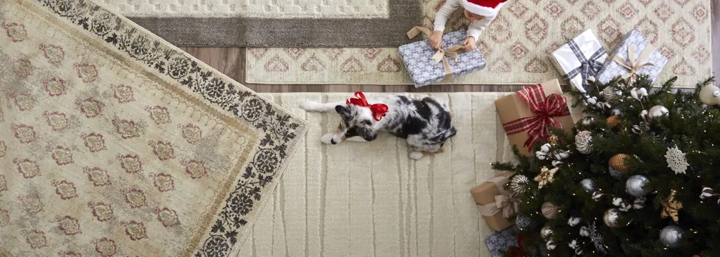 Area Rugs | A & S Carpet Collection