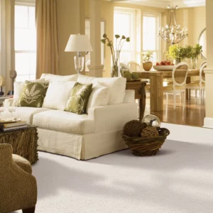 Living Room Carpet Flooring | A & S Carpet Collection