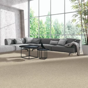 Living Room Carpet Flooring | A & S Carpet Collection