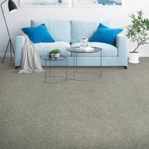 Family Room Carpet Flooring | A & S Carpet Collection