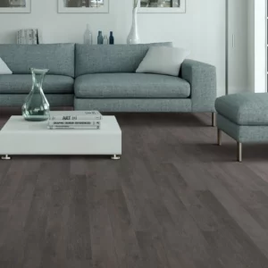 Living room Luxury Vinyl Flooring | A & S Carpet Collection